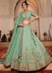 Limegreen Color Tissue Fabric Sequinse embroidery Semi-Stitched Lehenga choli & Dupatta