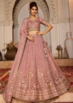Pink Color Tissue Fabric Sequinse embroidery Semi-Stitched Lehenga choli & Dupatta