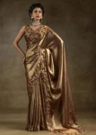Brown Color Two Tone Silk Zarkan Work Embroidered Designer Party Wear Saree