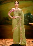 Pista Green Heavy Embroidered Fancy Fabric Designer Saree With contrast Blouse.