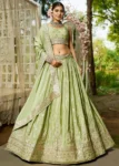Limegreen Chiffon Fabric Sequinse embroidery Semi-Stitched Lehenga choli.