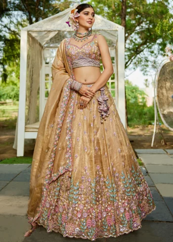 Beige Tissue Fabric Sequinse embroidery Semi-Stitched Lehenga choli.
